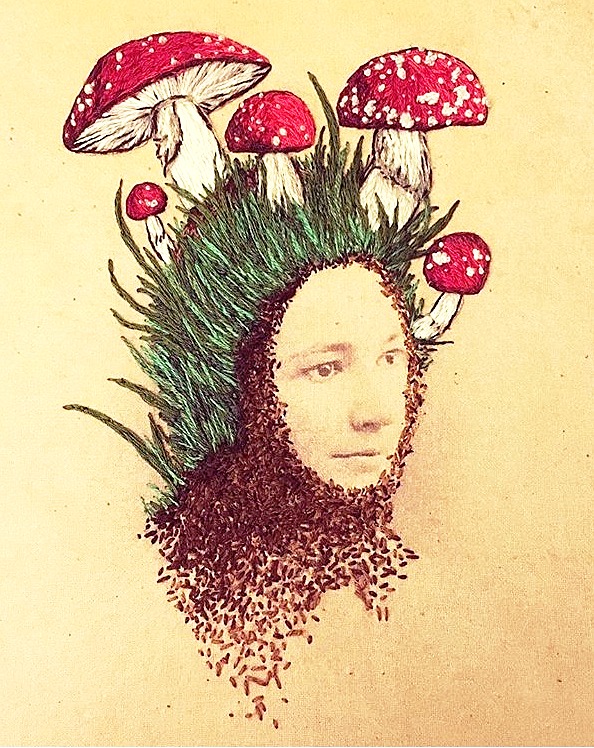 Amanita Patch
