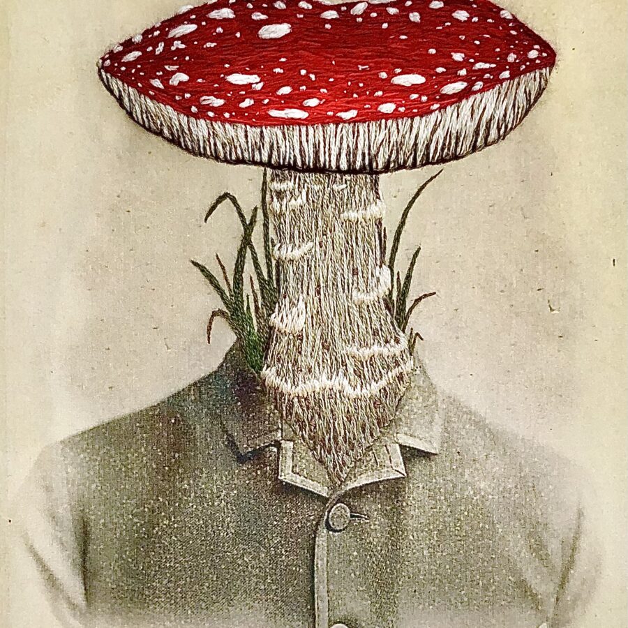 Victorian Toadstool