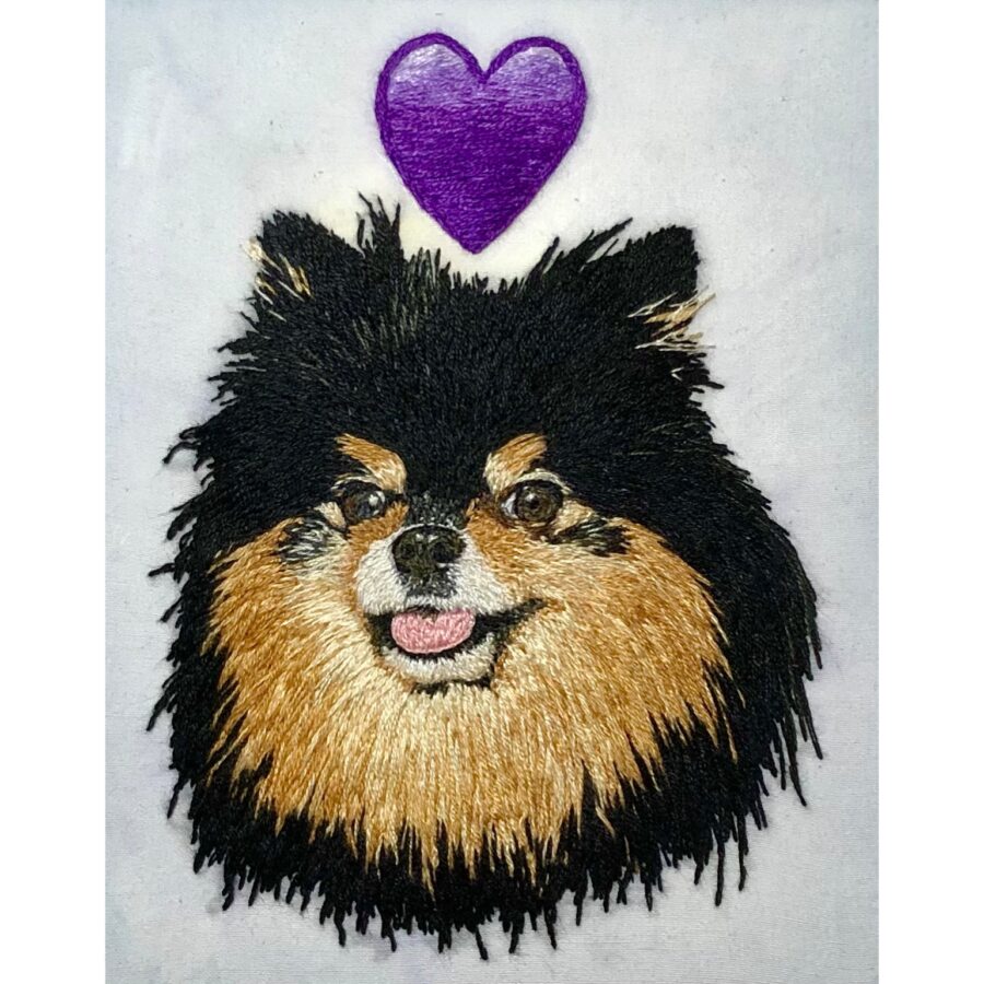 K-pop Dog